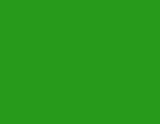 green track flag